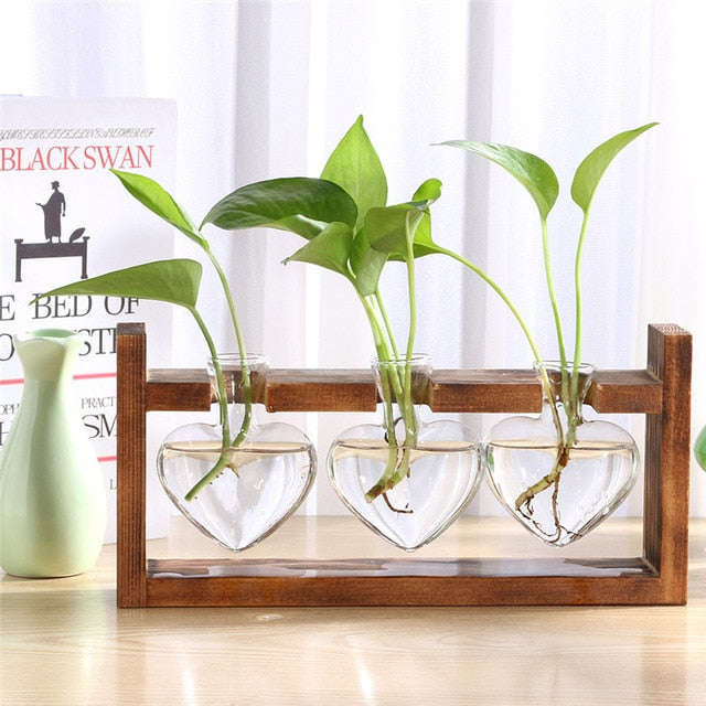 Glass and Wood Decoration Vase Hustle Nest