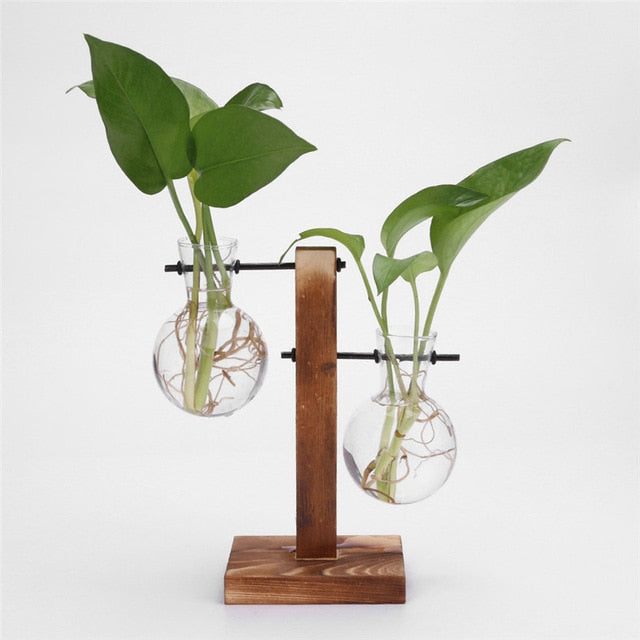 Glass and Wood Decoration Vase Hustle Nest