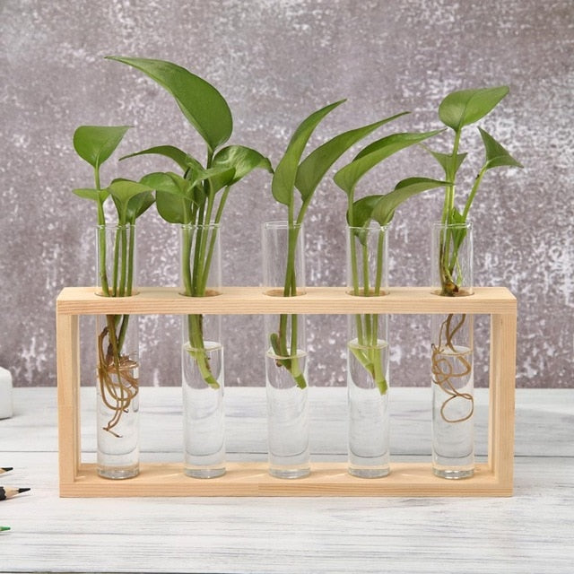Glass and Wood Decoration Vase Hustle Nest