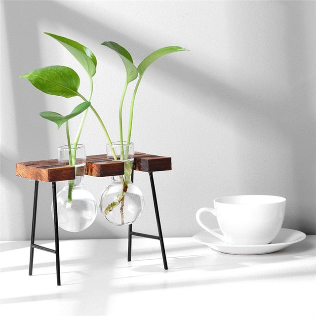 Glass and Wood Decoration Vase Hustle Nest
