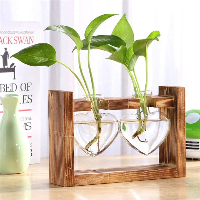 Glass and Wood Decoration Vase Hustle Nest