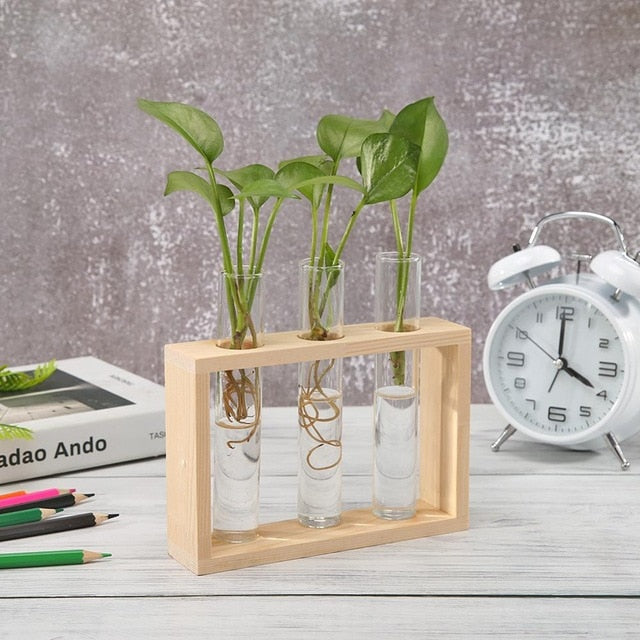 Glass and Wood Decoration Vase Hustle Nest