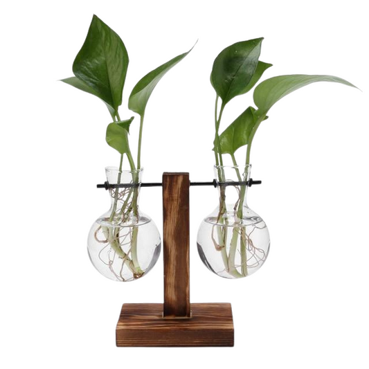 Glass and Wood Decoration Vase Hustle Nest